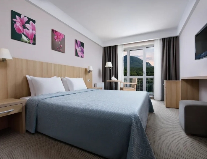 Стандарт - Санаторий «Плаза» Железноводск